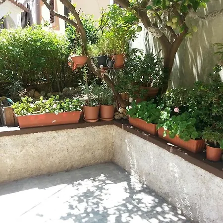 Pa3 * Mali Losinj